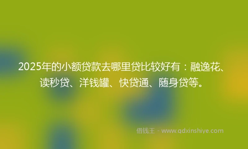 2025年的小额贷款去哪里贷比较好有：融逸花、读秒贷、洋钱罐、快贷通、随身贷等。