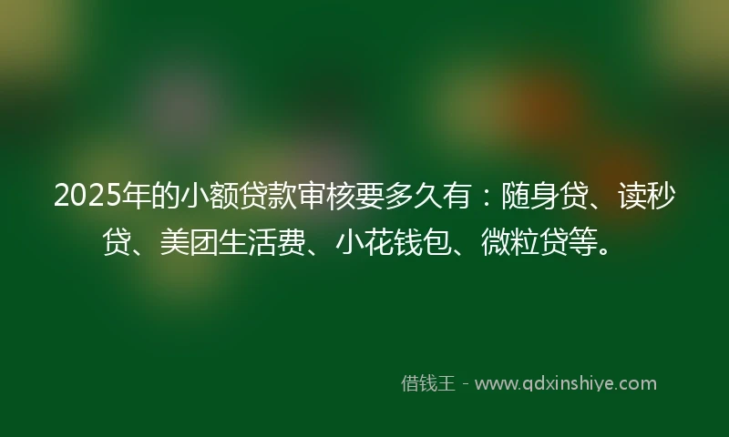 2025年的小额贷款审核要多久有：随身贷、读秒贷、美团生活费、小花钱包、微粒贷等。