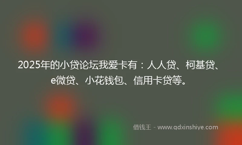 2025年的小贷论坛我爱卡有：人人贷、柯基贷、e微贷、小花钱包、信用卡贷等。