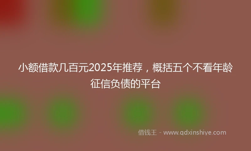 小额借款几百元2025年推荐，概括五个不看年龄征信负债的平台