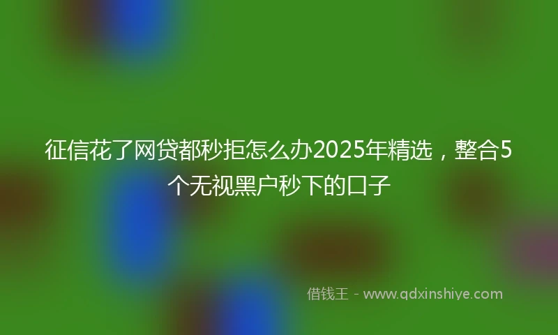 征信花了网贷都秒拒怎么办2025年精选,整合5个无视黑户秒下的口子