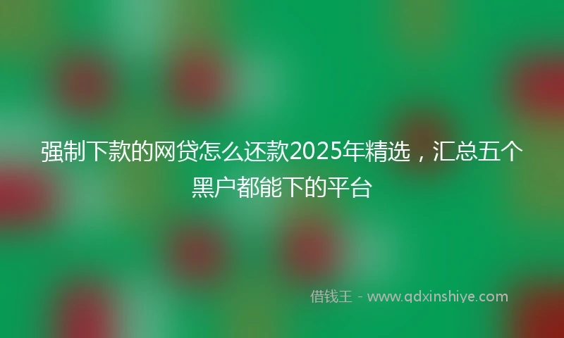 强制下款的网贷怎么还款2025年精选，汇总五个黑户都能下的平台