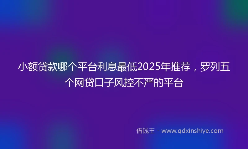 小额贷款哪个平台利息最低2025年推荐，罗列五个网贷口子风控不严的平台
