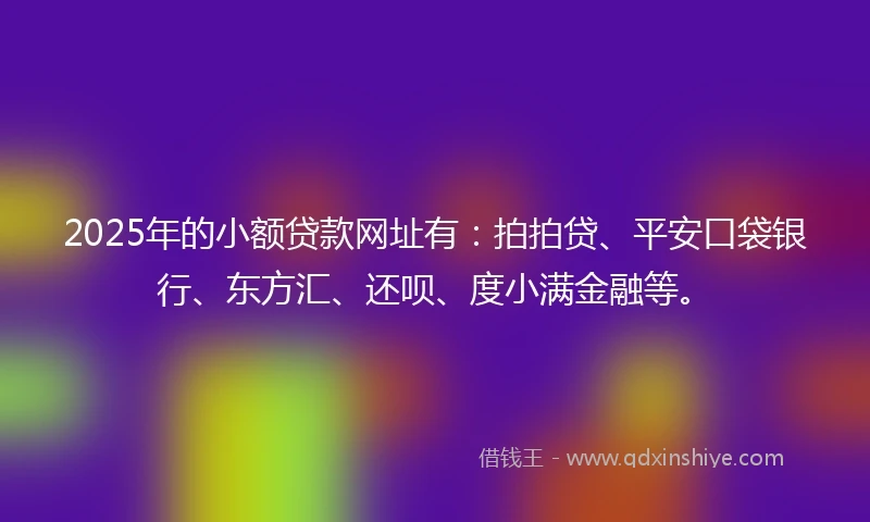 2025年的小额贷款网址有：拍拍贷、平安口袋银行、东方汇、还呗、度小满金融等。