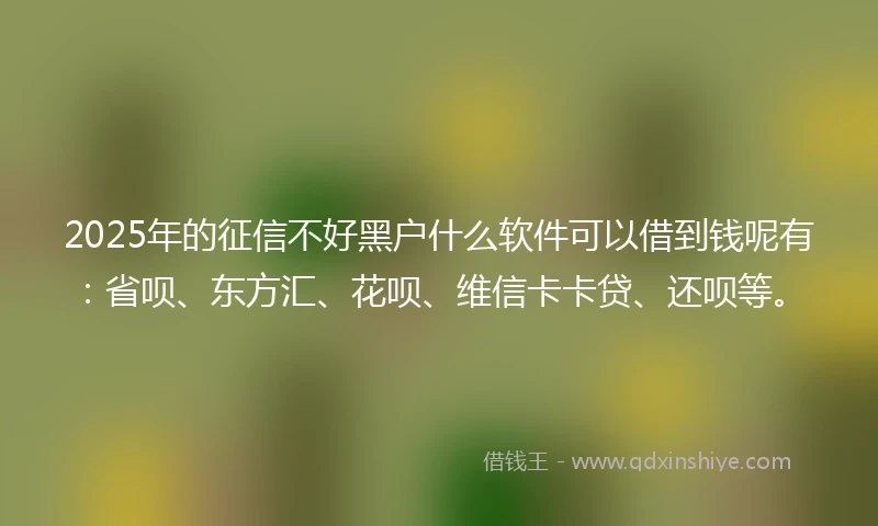 2025年的征信不好黑户什么软件可以借到钱呢有：省呗、东方汇、花呗、维信卡卡贷、还呗等。