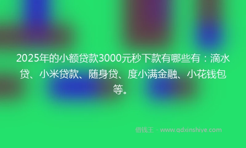 2025年的小额贷款3000元秒下款有哪些有：滴水贷、小米贷款、随身贷、度小满金融、小花钱包等。