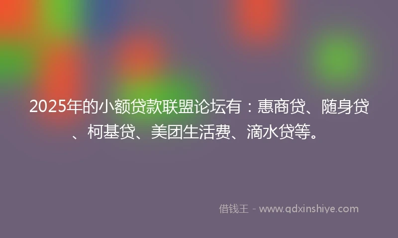 2025年的小额贷款联盟论坛有：惠商贷、随身贷、柯基贷、美团生活费、滴水贷等。