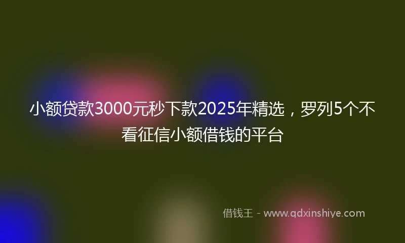 小额贷款3000元秒下款2025年精选，罗列5个不看征信小额借钱的平台