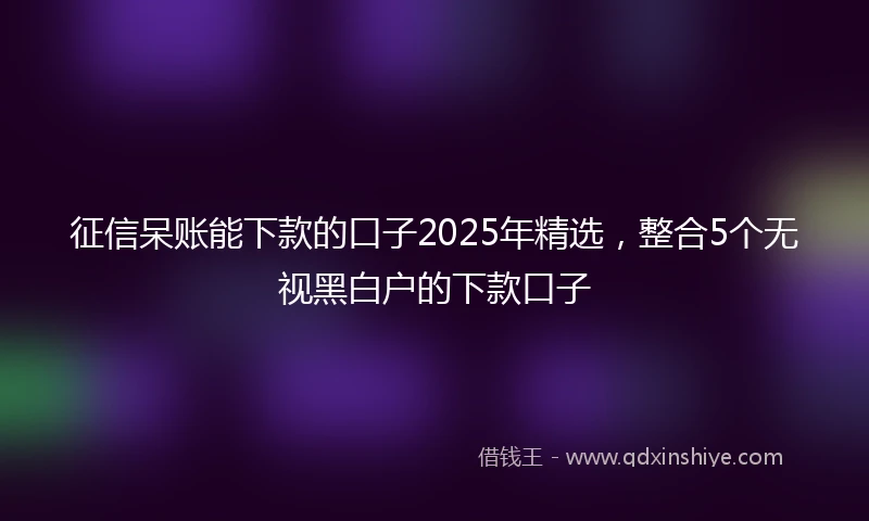 征信呆账能下款的口子2025年精选，整合5个无视黑白户的下款口子