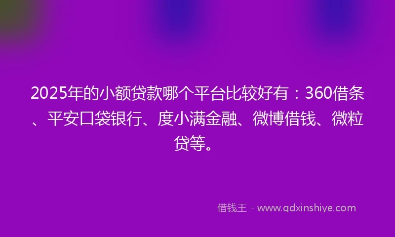 2025年的小额贷款哪个平台比较好有：360借条、平安口袋银行、度小满金融、微博借钱、微粒贷等。