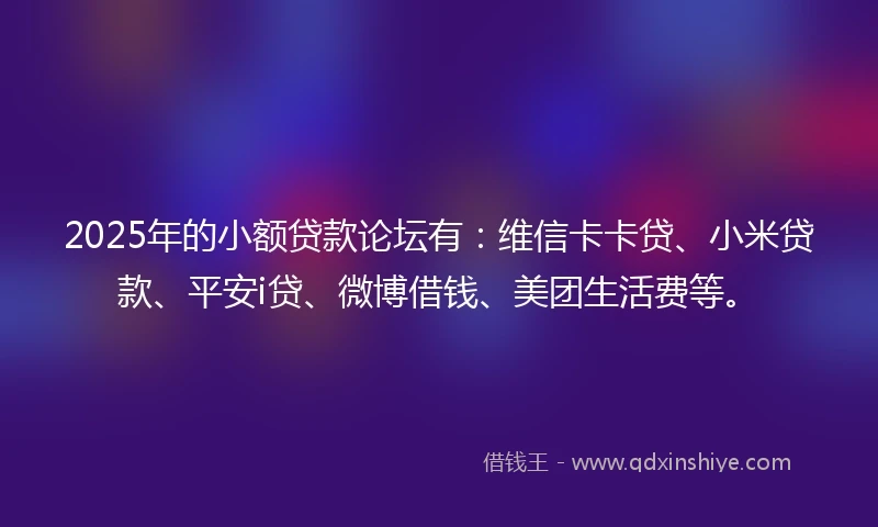 2025年的小额贷款论坛有：维信卡卡贷、小米贷款、平安i贷、微博借钱、美团生活费等。
