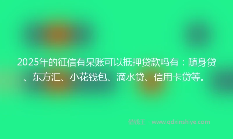 2025年的征信有呆账可以抵押贷款吗有：随身贷、东方汇、小花钱包、滴水贷、信用卡贷等。