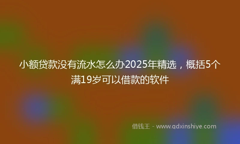 小额贷款没有流水怎么办2025年精选，概括5个满19岁可以借款的软件