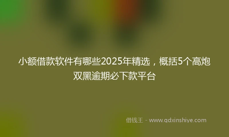 小额借款软件有哪些2025年精选，概括5个高炮双黑逾期必下款平台