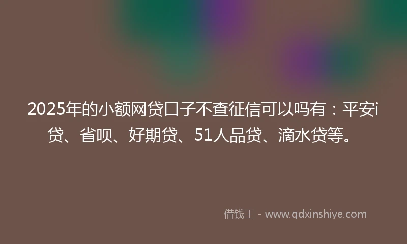2025年的小额网贷口子不查征信可以吗有：平安i贷、省呗、好期贷、51人品贷、滴水贷等。