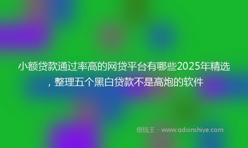 小额贷款通过率高的网贷平台有哪些2025年精选，整理五个黑白贷款不是高炮的软件