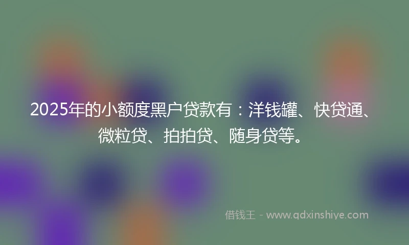 2025年的小额度黑户贷款有：洋钱罐、快贷通、微粒贷、拍拍贷、随身贷等。