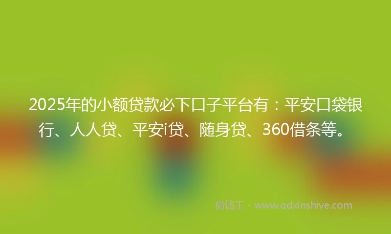 2025年的小额贷款必下口子平台有：平安口袋银行、人人贷、平安i贷、随身贷、360借条等。