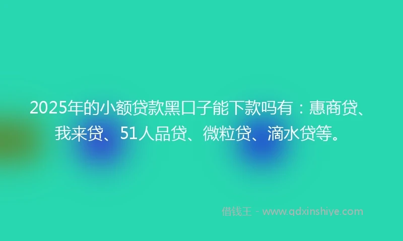 2025年的小额贷款黑口子能下款吗有：惠商贷、我来贷、51人品贷、微粒贷、滴水贷等。