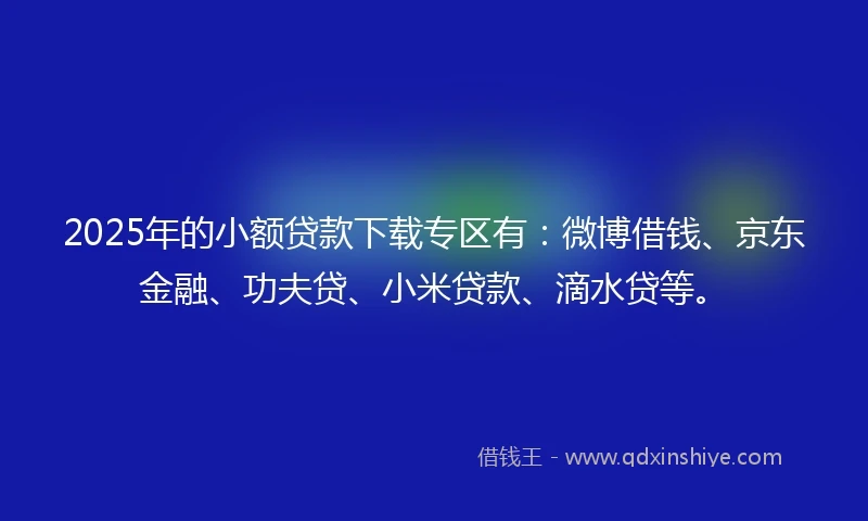 2025年的小额贷款下载专区有：微博借钱、京东金融、功夫贷、小米贷款、滴水贷等。