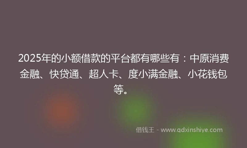 2025年的小额借款的平台都有哪些有：中原消费金融、快贷通、超人卡、度小满金融、小花钱包等。