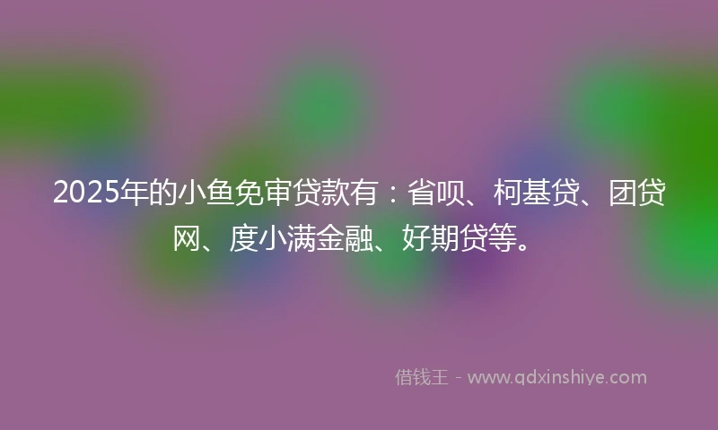 2025年的小鱼免审贷款有：省呗、柯基贷、团贷网、度小满金融、好期贷等。