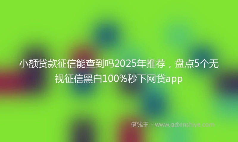小额贷款征信能查到吗2025年推荐，盘点5个无视征信黑白100%秒下网贷app