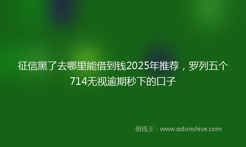 征信黑了去哪里能借到钱2025年推荐，罗列五个714无视逾期秒下的口子