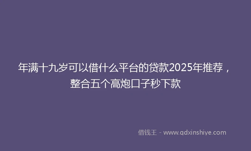 年满十九岁可以借什么平台的贷款2025年推荐，整合五个高炮口子秒下款
