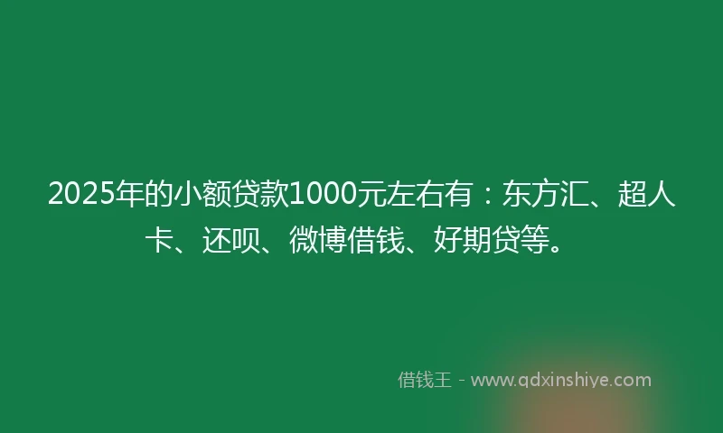 2025年的小额贷款1000元左右有：东方汇、超人卡、还呗、微博借钱、好期贷等。
