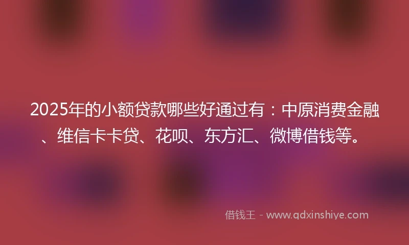 2025年的小额贷款哪些好通过有：中原消费金融、维信卡卡贷、花呗、东方汇、微博借钱等。