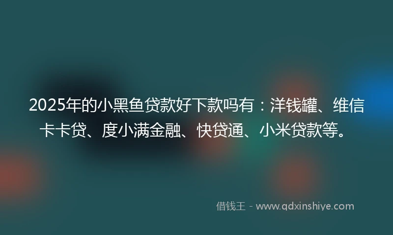 2025年的小黑鱼贷款好下款吗有：洋钱罐、维信卡卡贷、度小满金融、快贷通、小米贷款等。