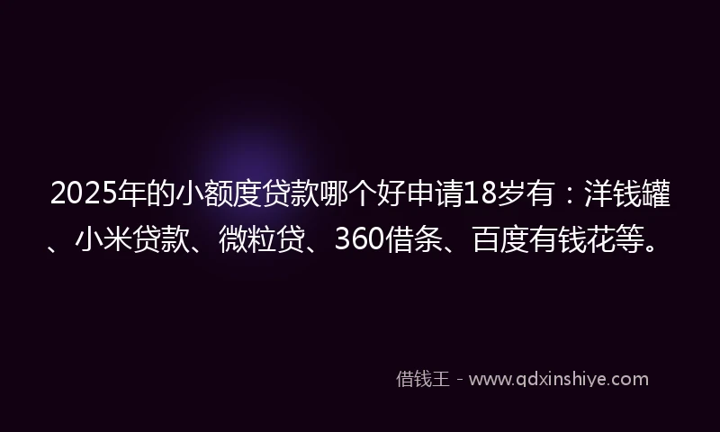 2025年的小额度贷款哪个好申请18岁有：洋钱罐、小米贷款、微粒贷、360借条、百度有钱花等。