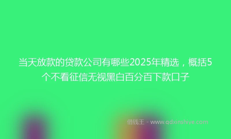 当天放款的贷款公司有哪些2025年精选，概括5个不看征信无视黑白百分百下款口子