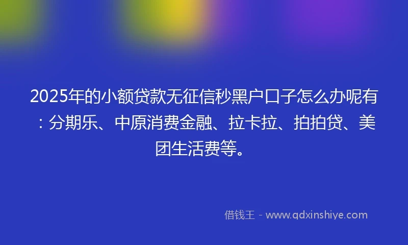 2025年的小额贷款无征信秒黑户口子怎么办呢有：分期乐、中原消费金融、拉卡拉、拍拍贷、美团生活费等。