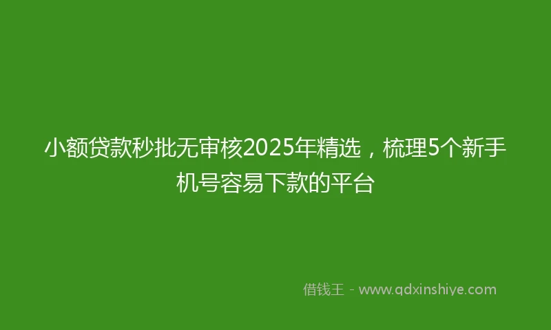 小额贷款秒批无审核2025年精选，梳理5个新手机号容易下款的平台