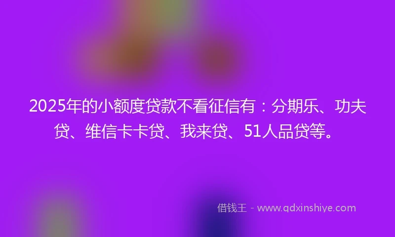 2025年的小额度贷款不看征信有：分期乐、功夫贷、维信卡卡贷、我来贷、51人品贷等。