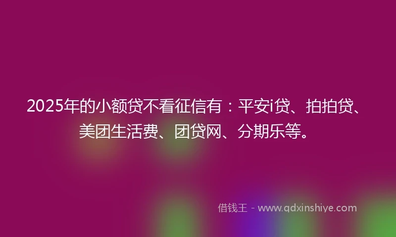 2025年的小额贷不看征信有：平安i贷、拍拍贷、美团生活费、团贷网、分期乐等。