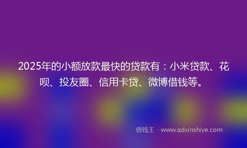2025年的小额放款最快的贷款有：小米贷款、花呗、投友圈、信用卡贷、微博借钱等。