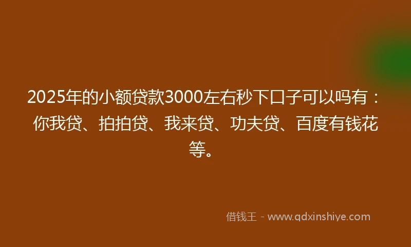 2025年的小额贷款3000左右秒下口子可以吗有：你我贷、拍拍贷、我来贷、功夫贷、百度有钱花等。
