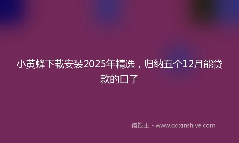 小黄蜂下载安装2025年精选，归纳五个12月能贷款的口子