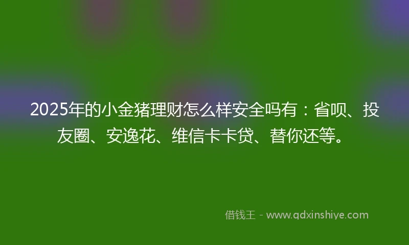 2025年的小金猪理财怎么样安全吗有：省呗、投友圈、安逸花、维信卡卡贷、替你还等。