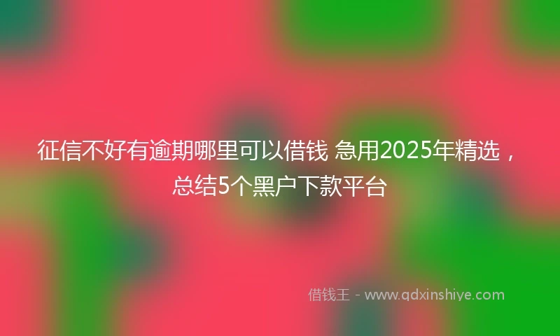 征信不好有逾期哪里可以借钱 急用2025年精选，总结5个黑户下款平台