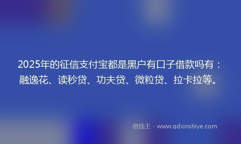 2025年的征信支付宝都是黑户有口子借款吗有:融逸花、读秒贷、功夫贷、微粒贷、拉卡拉等。