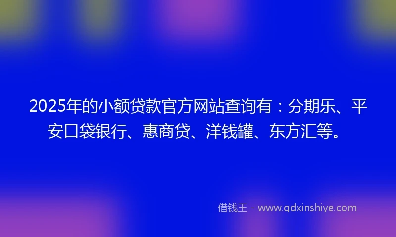 2025年的小额贷款官方网站查询有：分期乐、平安口袋银行、惠商贷、洋钱罐、东方汇等。