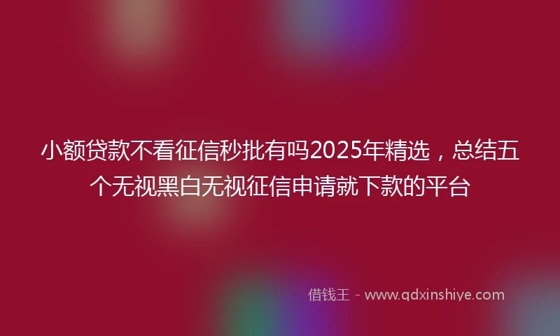 小额贷款不看征信秒批有吗2025年精选，总结五个无视黑白无视征信申请就下款的平台