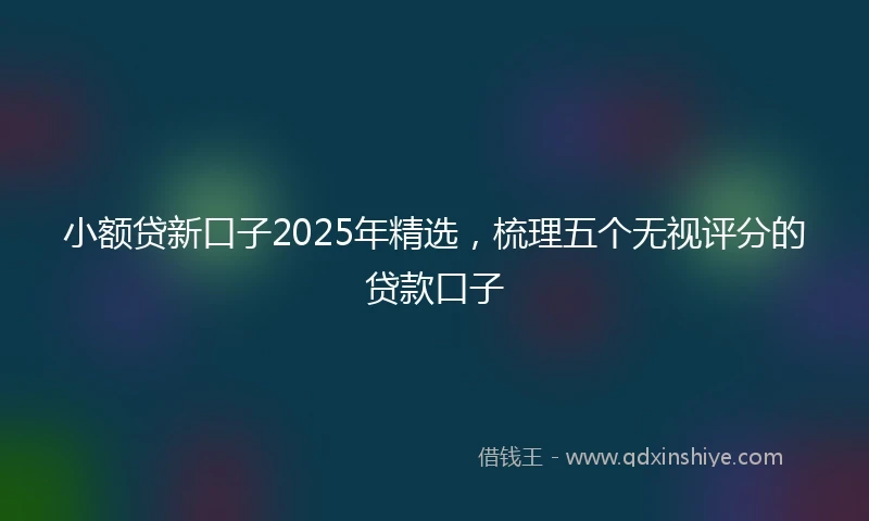 小额贷新口子2025年精选，梳理五个无视评分的贷款口子