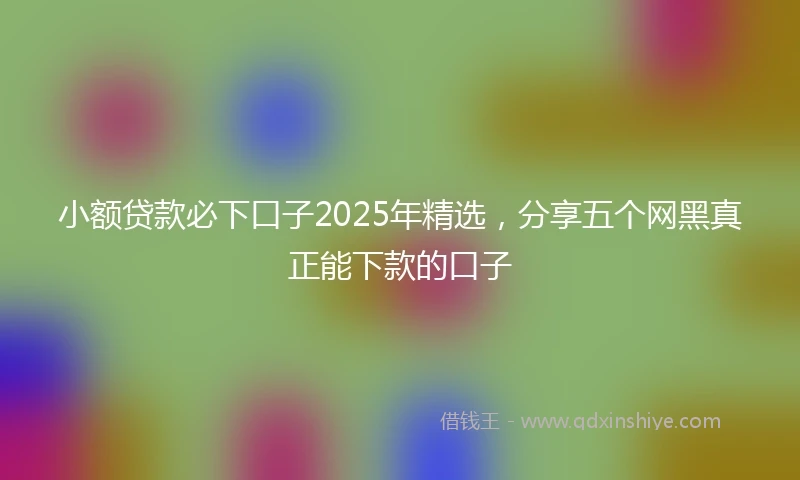 小额贷款必下口子2025年精选，分享五个网黑真正能下款的口子