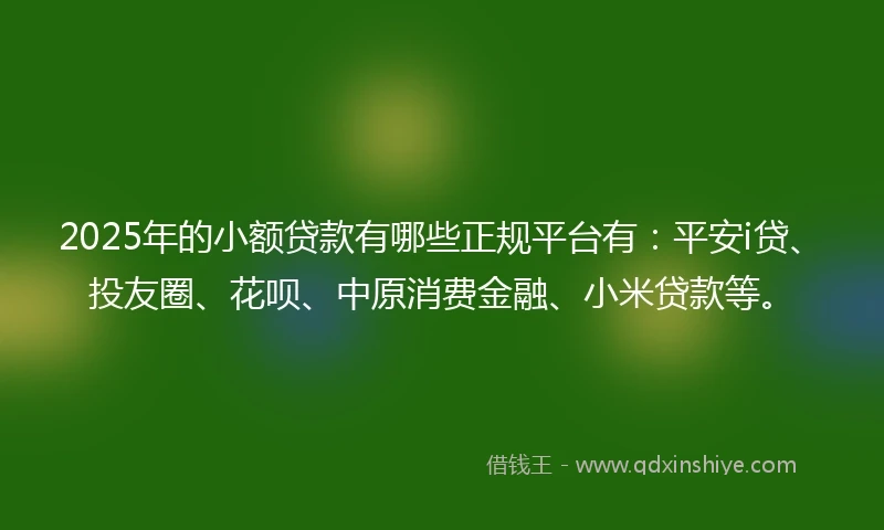 2025年的小额贷款有哪些正规平台有：平安i贷、投友圈、花呗、中原消费金融、小米贷款等。