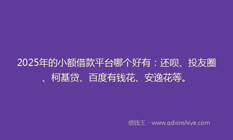 2025年的小额借款平台哪个好有：还呗、投友圈、柯基贷、百度有钱花、安逸花等。